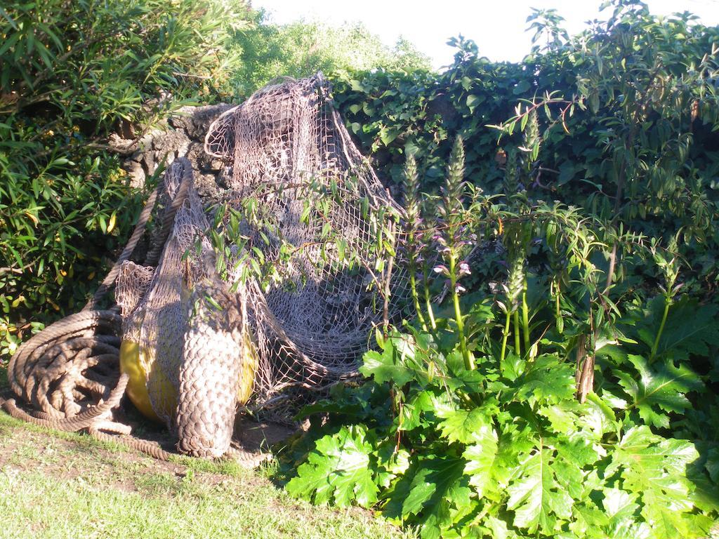 Mira Ceti Yurt Acomodação com café da manhã Sète Exterior foto